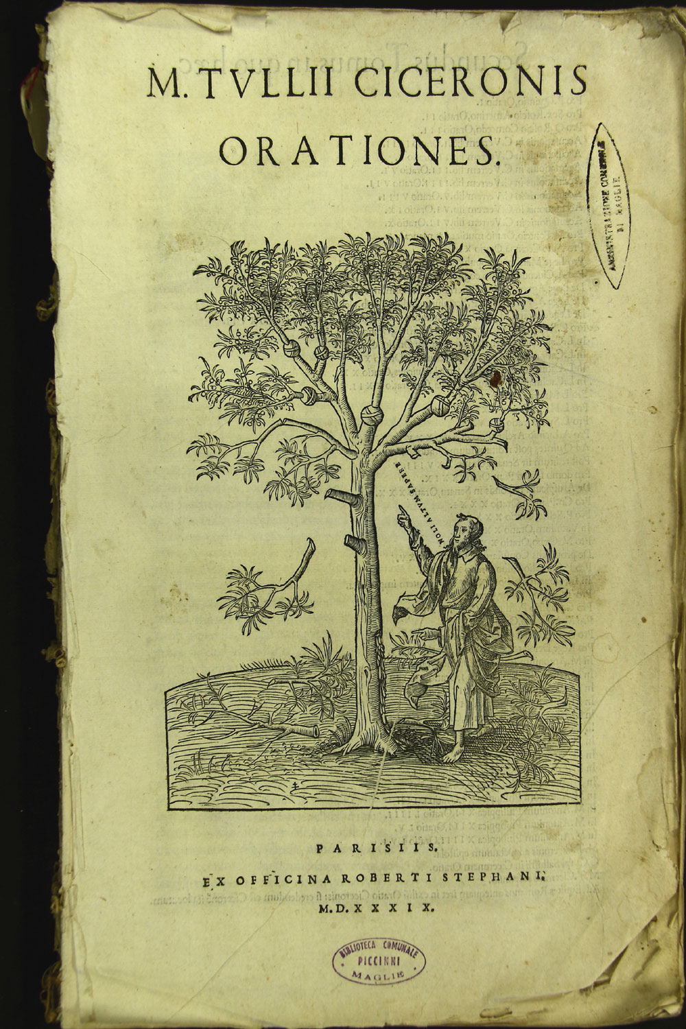  VIAE002324 