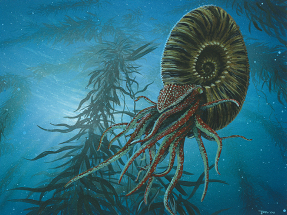 geologia-giurassico cretaceo