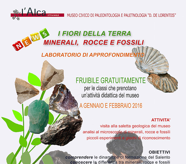  I fiori della Terra - Nuovo Laboratorio 